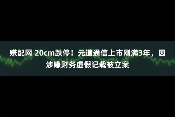 赚配网 20cm跌停！元道通信上市刚满3年，因涉嫌财务虚假记载被立案