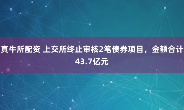 真牛所配资 上交所终止审核2笔债券项目，金额合计43.7亿元