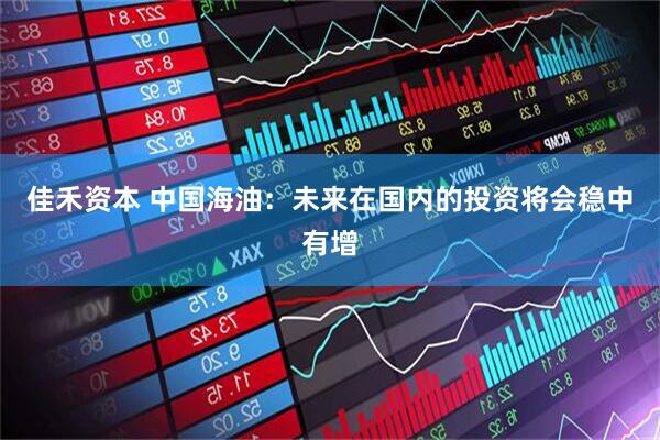 佳禾资本 中国海油：未来在国内的投资将会稳中有增