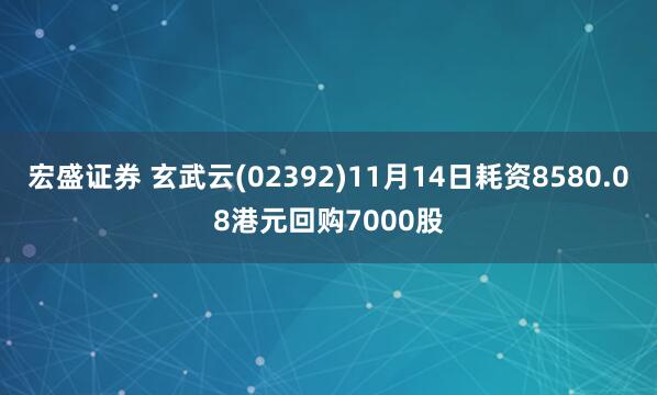 宏盛证券 玄武云(02392)11月14日耗资8580.08港元回购7000股