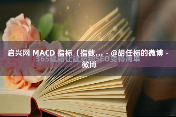 启兴网 MACD 指标（指数... - @胡任标的微博 - 微博