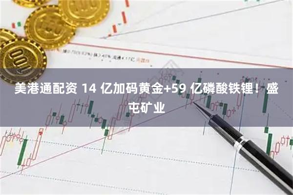 美港通配资 14 亿加码黄金+59 亿磷酸铁锂！盛屯矿业