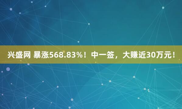 兴盛网 暴涨568.83%！中一签，大赚近30万元！